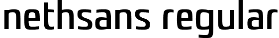 nethsans Regular font - nethsans.ttf