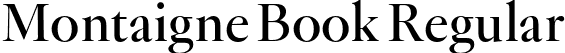 Montaigne Book Regular font - Montaigne-Book.otf