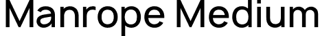 Manrope Medium font - medium.otf