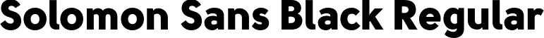 Solomon Sans Black Regular font - Solomon Sans Black.otf