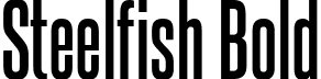 Steelfish Bold font - steelfish bd.ttf