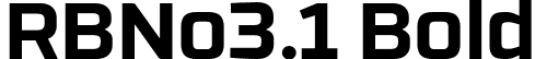 RBNo3.1 Bold font - RBNo3.1-Bold.otf