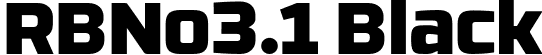 RBNo3.1 Black font - RBNo3.1-Black.otf