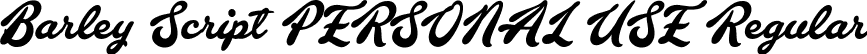 Barley Script PERSONAL USE Regular font - BarleyScript_PERSONAL_USE.ttf