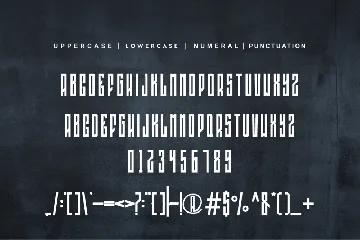 Ringnoxinzink font