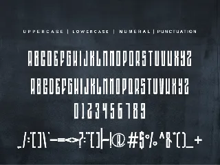 Ringnoxinzink font