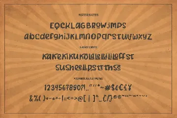 Shinelof Retro Business font