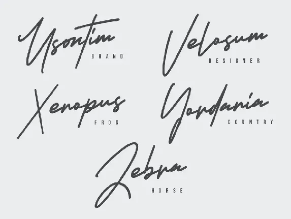 Armstrong Signature Font