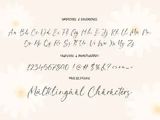 Asterika Script Font