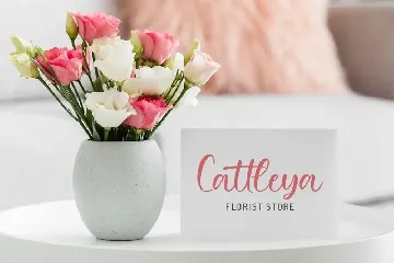 Balietta - Lovely Script font