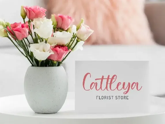 Balietta - Lovely Script font