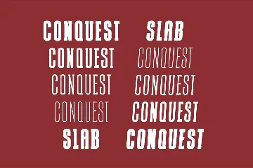 CONQUEST Sans & Slab Serif font