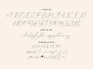 Hatterful Amalia Luxury Script Font