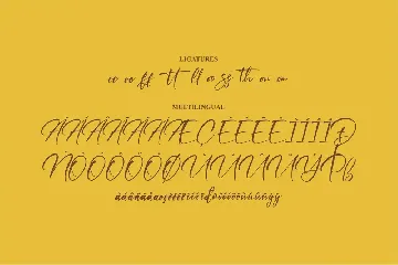 Hayrittius Signature Font