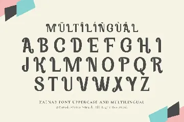 Zaenab - Serif Display Font