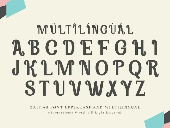 Zaenab - Serif Display Font