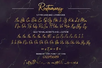 Rostemary - Elegant Monoline font