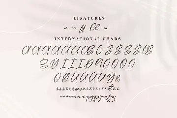 Bordeaux Modern Handwritten Font