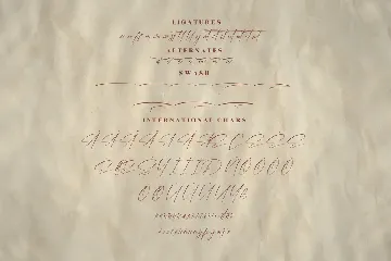 Alessana Modern Signature Font