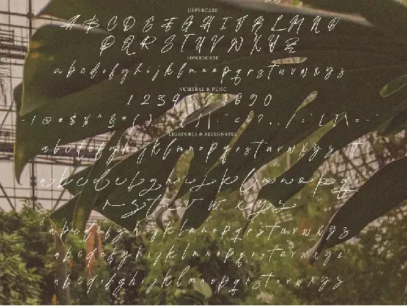 Qikabey Signature font