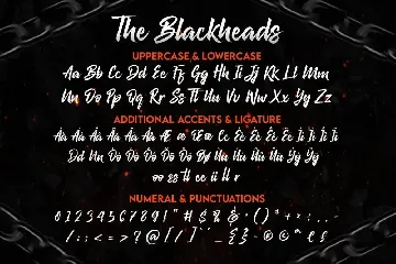 The Blackheads - Authentic Bold Script font