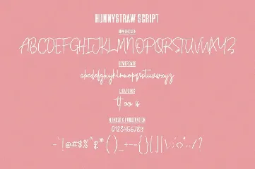 Hunny Straw Font Collection