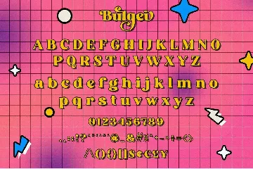 Bulgei - Modern Retro Serif font