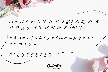 Gelatio - Script Font