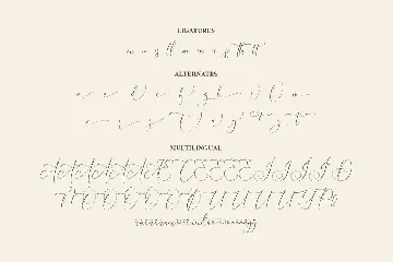 Carlistoryan Calligraphy Script Font