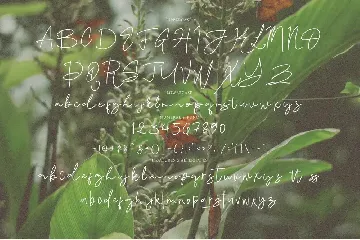 Lindgen Signature font