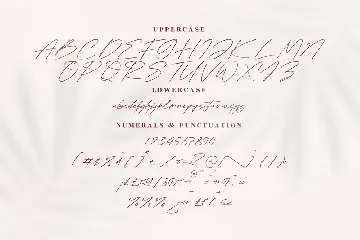 Bellamy Stevenson Modern Signature Font