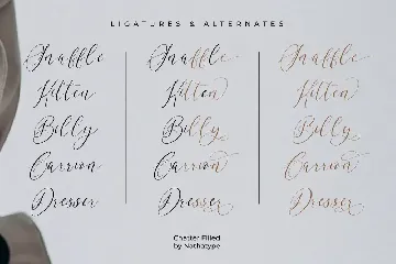 Chatter Filled font