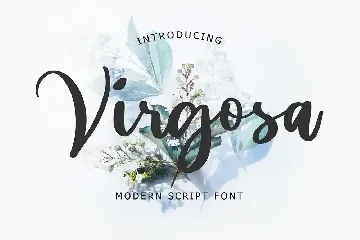 Virgosa Modern Script Font