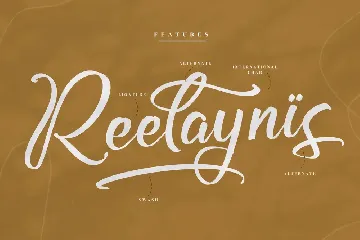 Armstroing Modern Calligraphy Font