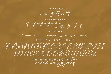 Armstroing Modern Calligraphy Font