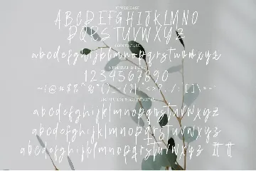 Hineda Signature font