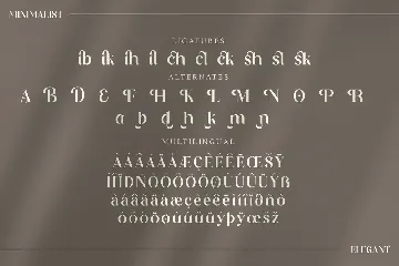 Dishta Bikailen Serif Font