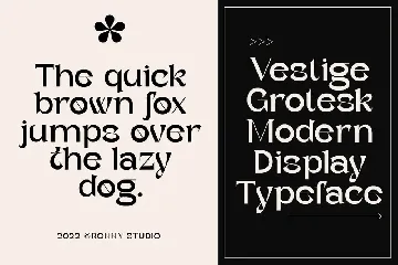 Vestige Grotesk - Modern Typeface font