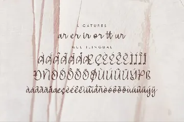 Jifantte Calligraphy Script Font