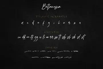 Bettanesia - Beautiful Handwritten font