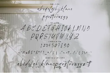 Wistonia Signature font