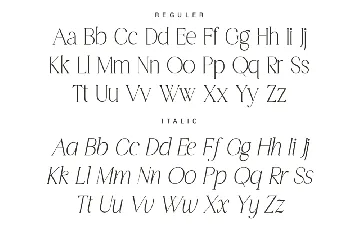 Elegant Thin Serif Font