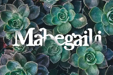 Mabegaili modern serif font