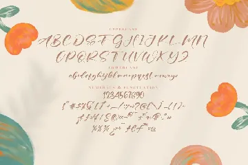 Wonder Dreams Handwritten Font