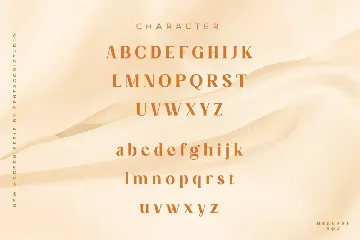 Evoria | Modern Serif Font