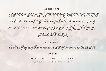 Diilgant - A Textured Script Font