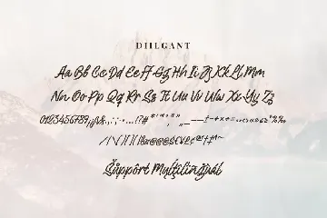 Diilgant - A Textured Script Font