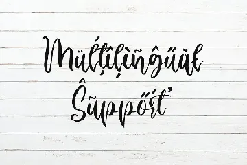 Calligraphy Font