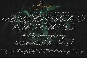 Baretta font