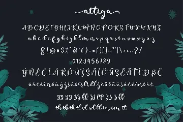 Attiga Script font